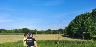 Mantova, tolleranza zero contro l’abbandono rifiuti: 31 sanzioni da inizio anno