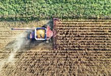 Hendron, Wild Bioscience: “Con nuove tecniche genomiche svolta storica per l’agricoltura europea”