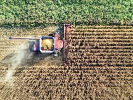 Hendron, Wild Bioscience: “Con nuove tecniche genomiche svolta storica per l’agricoltura europea”