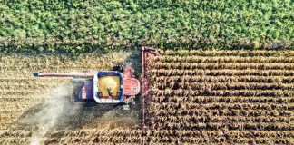 Hendron, Wild Bioscience: “Con nuove tecniche genomiche svolta storica per l’agricoltura europea”