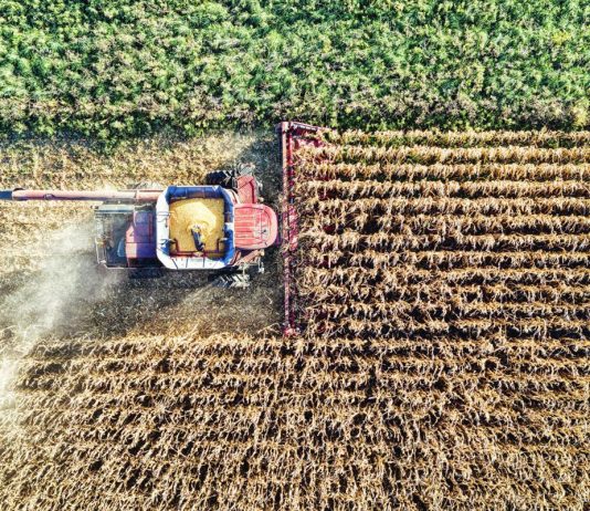 Malori nei campi, Cisl: “Temperature critiche già a metà mattina, rivedere orari di stop”