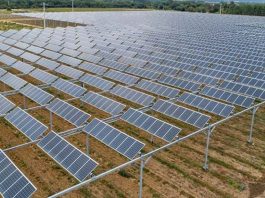 Agrivoltaico a Ceresara, Carra (Pd): “Mobilitazione contro le leggi della destra”