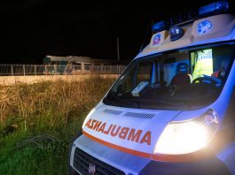 Crotone, scontro tra due auto e cavalli vaganti: morta una donna