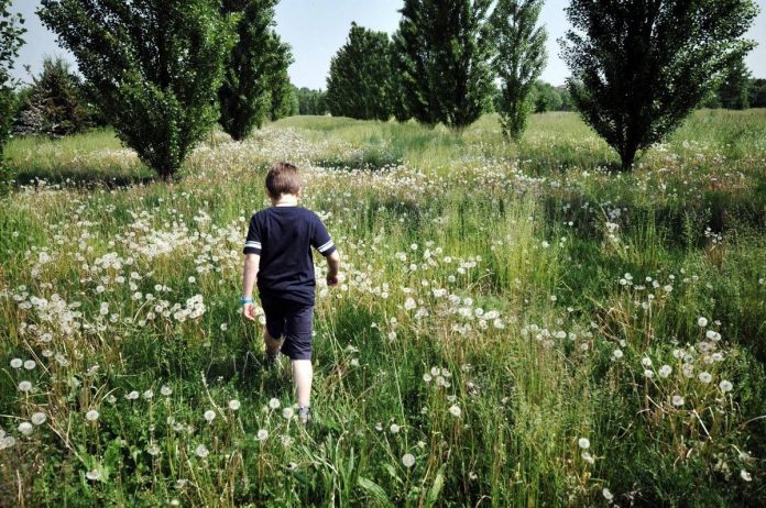 bambino_allergico_in_campagna