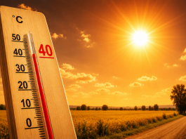 Caronte infiamma il Mantovano: 40° a Poggio Rusco, ma la svolta è vicina