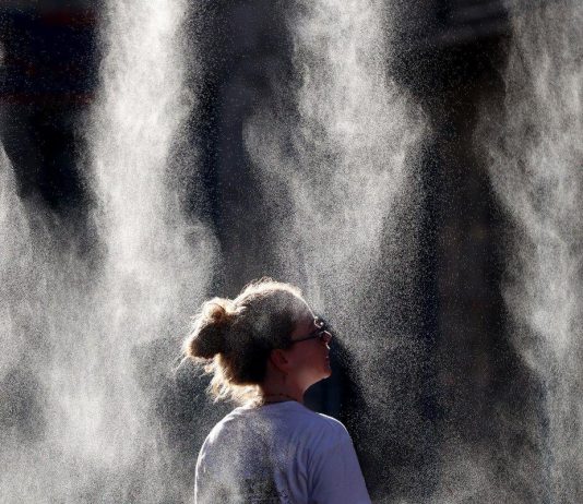 Caldo e salute, “impennata temperature ha effetti su organi vitali e cervello”