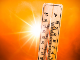 Caldo, l’avvertimento di Pregliasco: “38°C in molte città, ma il vero nemico è l’umidità”
