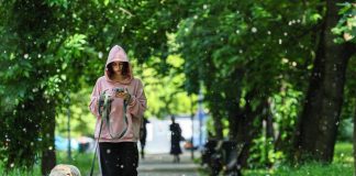 Obbligo di lavare la pipì del cane in strada, Bassetti: “Dal punto di vista scientifico non serve a nulla”