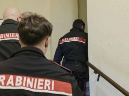 Mantova, il cane veglia per tre giorni il cadavere del proprietario nell’appartamento