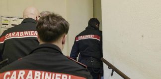 Mantova, il cane veglia per tre giorni il cadavere del proprietario nell’appartamento