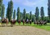 San Giorgio, cavalli, carrozze e laboratori: la Carpaneta conquista grandi e piccoli