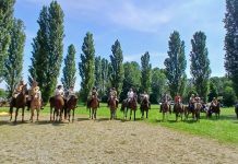 San Giorgio, cavalli, carrozze e laboratori: la Carpaneta conquista grandi e piccoli