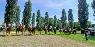 San Giorgio, cavalli, carrozze e laboratori: la Carpaneta conquista grandi e piccoli