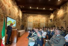 Gdf: scoperti oltre 100 evasori totali e 500 lavoratori irregolari. Recuperati 200 milioni sottratti al fisco