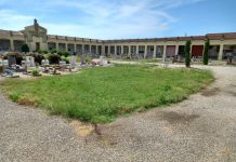 Bondeno, erba tagliata in centro, ma il degrado ora assedia il cimitero