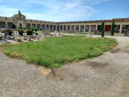 Bondeno, erba tagliata in centro, ma il degrado ora assedia il cimitero