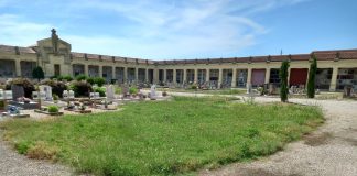 Bondeno, erba tagliata in centro, ma il degrado ora assedia il cimitero
