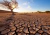 Clima, lo studio: riscaldamento globale accelera, la svolta dal 2013-2014