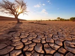 Clima, lo studio: riscaldamento globale accelera, la svolta dal 2013-2014