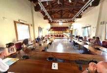 Suzzara, insediato il Comitato intercomunale per la sanità territoriale