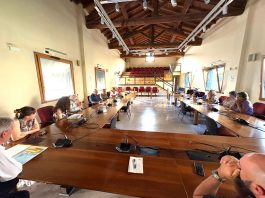 Suzzara, insediato il Comitato intercomunale per la sanità territoriale