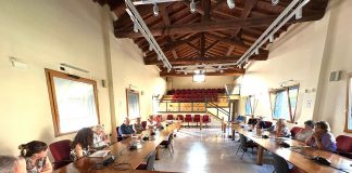 Suzzara, insediato il Comitato intercomunale per la sanità territoriale