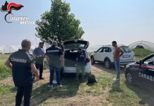 Controlli in agricoltura, scoperti 12 lavoratori in nero: 46mila euro di multa, chiuse due aziende