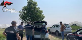 Controlli in agricoltura, scoperti 12 lavoratori in nero: 46mila euro di multa, chiuse due aziende