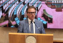 Damiani (Fi): “Collaborazione istituzioni e associazioni fondamentale”