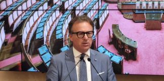 Damiani (Fi): “Collaborazione istituzioni e associazioni fondamentale”