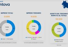 Terziario mantovano: 16.838 imprese, il 52,9% dell’economia provinciale