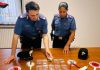 Trasporta cocaina e hashish, scappa all’alt dei carabinieri. Bloccato, li aggredisce: arrestato