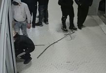 Pegognaga, lavanderia nel mirino: giovani danneggiano i distributori automatici