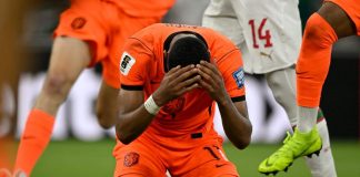 Olanda-Marocco, Gakpo segna e scoppia a piangere