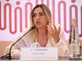 Tenerini (Fi): “Non fermarsi a dato economico, famiglia è infrastruttura del Paese”
