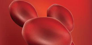 Autoemotrasfusione di ozono anti-aging, cos’è: ma fa bene davvero?