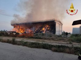 Vignale, incendio all’alba nel capannone dell’azienda Biagi, in fumo centinaia di rotoballe