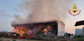 Vignale, incendio all’alba nel capannone dell’azienda Biagi, in fumo centinaia di rotoballe