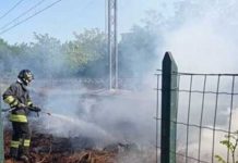 Petardi tra le sterpaglie: incendio vicino ai binari della linea Suzzara-Parma