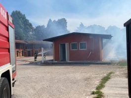 Treviso, incendio all’ippodromo Sant’Artemio: sei cavalli muoiono tra le fiamme