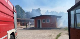 Treviso, incendio all’ippodromo Sant’Artemio: sei cavalli muoiono tra le fiamme