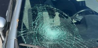 Quistello, attraversa all’improvviso lontano dalle strisce: investita da un’auto. 64enne all’ospedale