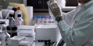 Cancro al polmone, una ‘firma’ nel sangue predice il rischio di tumore: nuove speranze per prevenirlo