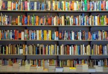 Da ‘L’appuntamento’ di Pulixi a ‘Dottie’ del Nobel Gurnah: le novità in libreria