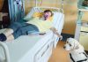 In Veneto prima chemio con cagnolina (Joy) al letto della paziente