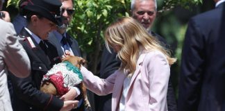 Italia-Corea, Meloni si fa foto con ‘Briciola’: cagnolina mascotte Carabinieri ‘star’ a Villa Pamphlij