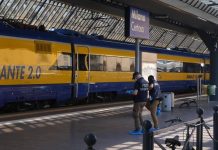 Omicidio alla stazione Certosa di Milano, fermato un 19enne
