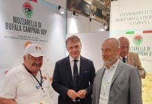 Mozzarella dop: Consorzio a New York per mostrare a pubblico Usa come nasce bufala campana