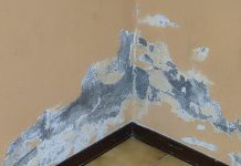 Palasport di Soave, bocciata la mozione di Pernigotti e Voi: “ma il degrado rimane”