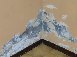 Palasport di Soave, bocciata la mozione di Pernigotti e Voi: “ma il degrado rimane”